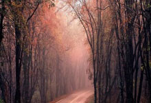 牛八体育：小丁：打不上球这2年回看此前视频 也会感慨“原来我这么厉害啊”.