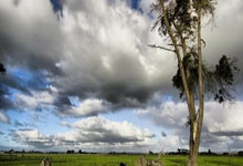 21-22賽季西甲聯賽第32輪比賽集錦.