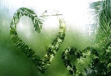 牛八体育：森林狼回應華子的呼聲 決心找到自己的位置繼續爭奪榮耀.