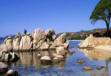 欧联杯16强出炉！1／8决赛抽签将于2月21日20时进行.